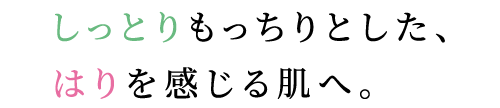 しっとりもっちりとした、はりを感じる肌へ。