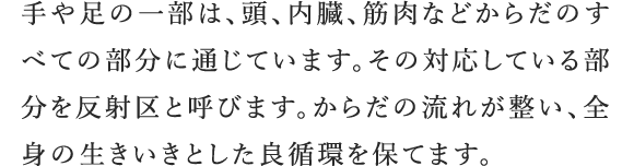 手のひらを反す 手のひらを反す人 Noemialexanderjp 手のひらを反す 手のひらを反す人 Noemialexanderjp