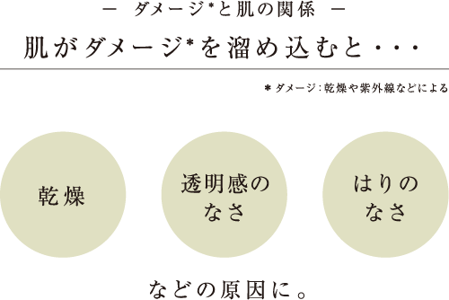 ダメージ＊と肌の関係 肌がダメージ＊を溜め込むと… 乾燥・透明感のなさ・はりのなさ などの原因に。 ＊ダメージ：乾燥や紫外線などによる