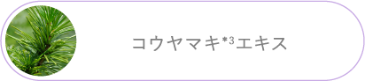 コウヤマキ＊3エキス