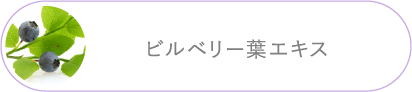 ビルベリー葉エキス