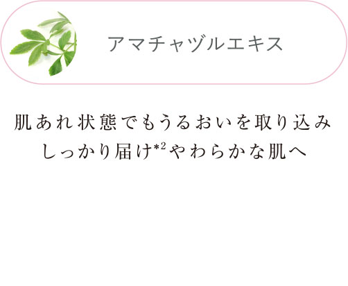 アマチャヅルエキス 肌あれ状態でもうるおいを取り込みしっかり届けやわらかな肌へ