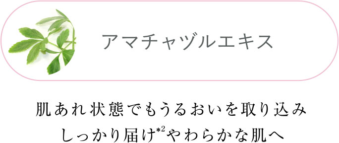 アマチャヅルエキス 肌あれ状態でもうるおいを取り込みしっかり届けやわらかな肌へ