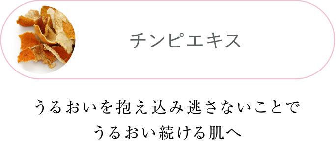 チンピエキス うるおいを抱え込み逃さないことでうるおい続ける肌へ