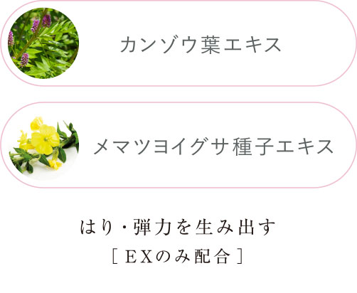 カンゾウ葉エキス メマツヨイグサ種子エキス はり・弾力を生み出す［EXのみ配合］