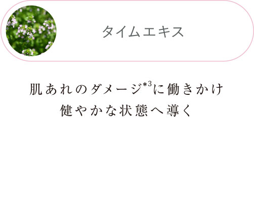 タイムエキス 肌あれのダメージに働きかけ健やかな状態へ導く