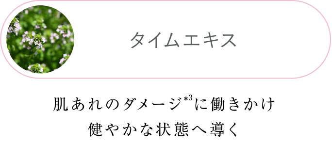 タイムエキス 肌あれのダメージに働きかけ健やかな状態へ導く