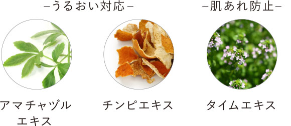 –うるおい対応– –肌あれ防止– アマチャヅルエキス チンピエキス タイムエキス