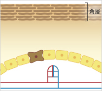くすみのある肌