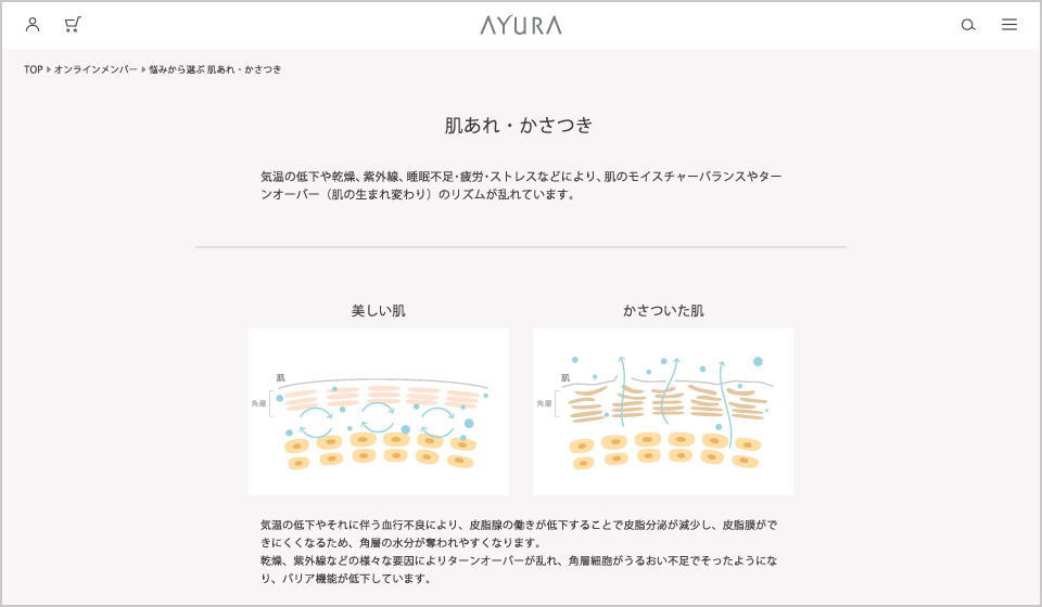 3. カウンセリング結果特に気になるパーソナルな悩み