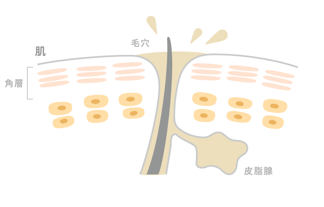 毛穴が目立つ肌
