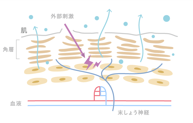 敏感肌