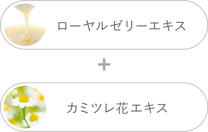 プランプコンセントレート〈美容液〉｜アユーラ 公式サイト