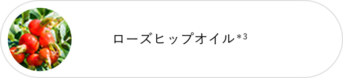 ローズヒップオイル*³