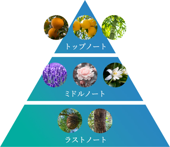 メディテーションナイトトワレ ピラミッド