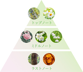 メディテーションオードパルファム ピラミッド