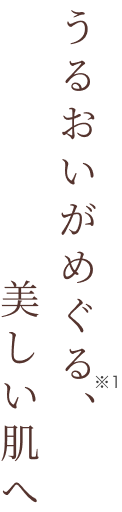 うるおいがめぐる※1、美しい肌へ