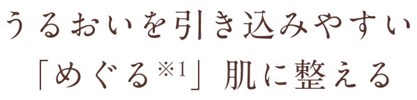 うるおいを引き込みやすい「めぐる※1」肌に整える