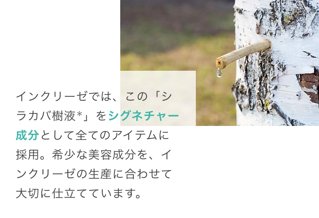 インクリーゼでは、この「シラカバ樹液＊」をシグネチャー成分として全てのアイテムに採用。希少な美容成分を、インクリーゼの生産に合わせて大切に仕立てています。