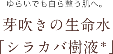 ゆらいでも自ら整う肌へ。芽吹きの生命水「シラカバ樹液※1」