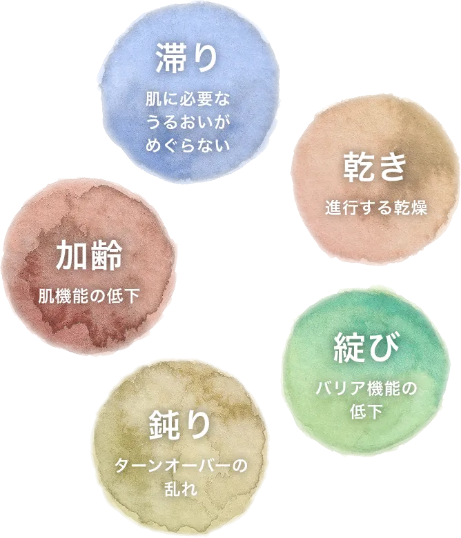滞り:肌に必要なうるおいがめぐらない,乾き:進行する乾燥,加齢:肌機能の低下,綻び:バリア機能の低下,鈍り:ターンオーバーの乱れ