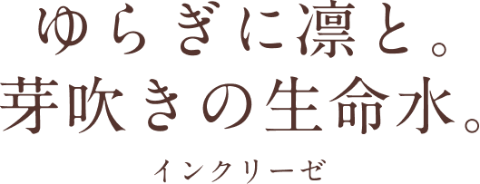 ゆらぎに凛と。芽吹きの生命水。インクリーゼ